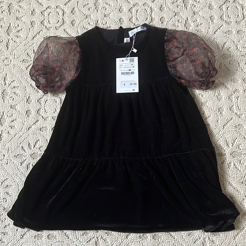 Zara Black Dress with Sheer Sleeves